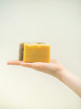 Load image into Gallery viewer, Soapnut & Green Tea Soap Bar