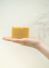 Load image into Gallery viewer, Soapnut & Turmeric Soap Bar