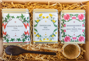 Luxury Botanical Tea Gift Set