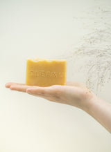 Load image into Gallery viewer, Soapnut &amp; Turmeric Soap Bar
