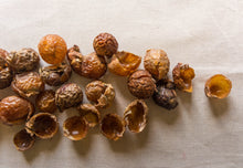 Load image into Gallery viewer, Loose Soapnuts