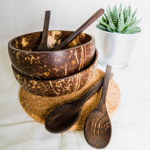 Repurposed Coconut Bowl & Spoon