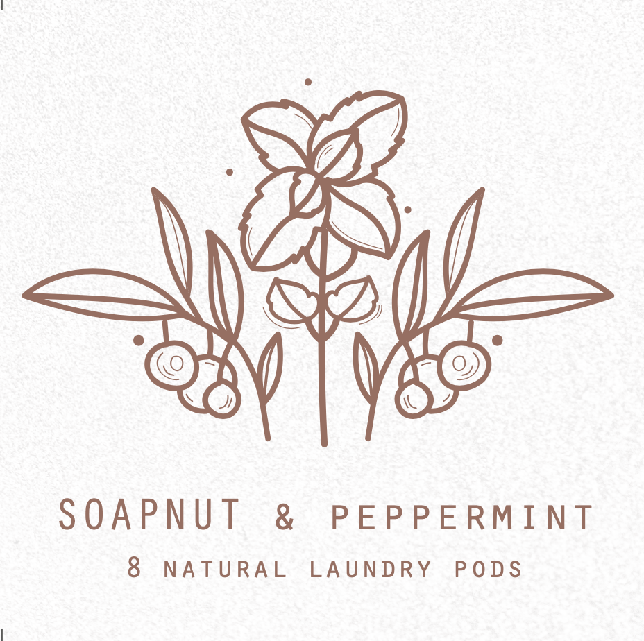 Soapnut Natural Laundry Pods